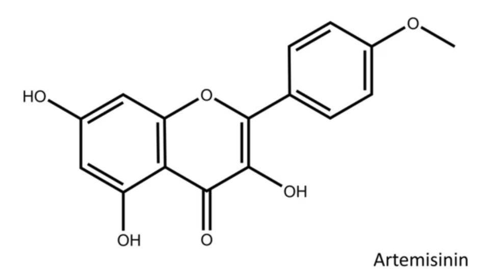 スクリーンショット 2026-04-02 11.50.09